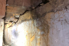Moisture and wood destroying organism damage in a crawl space