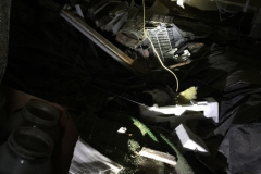 A crawl space with 40 plus years of accumulated stored items...