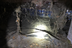 I go where you don't want to...