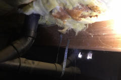 Evidence of a leaking pipe above the insulation.